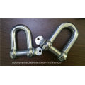 Electric Galvanized Us Type Steel Screw Pin D Shackle